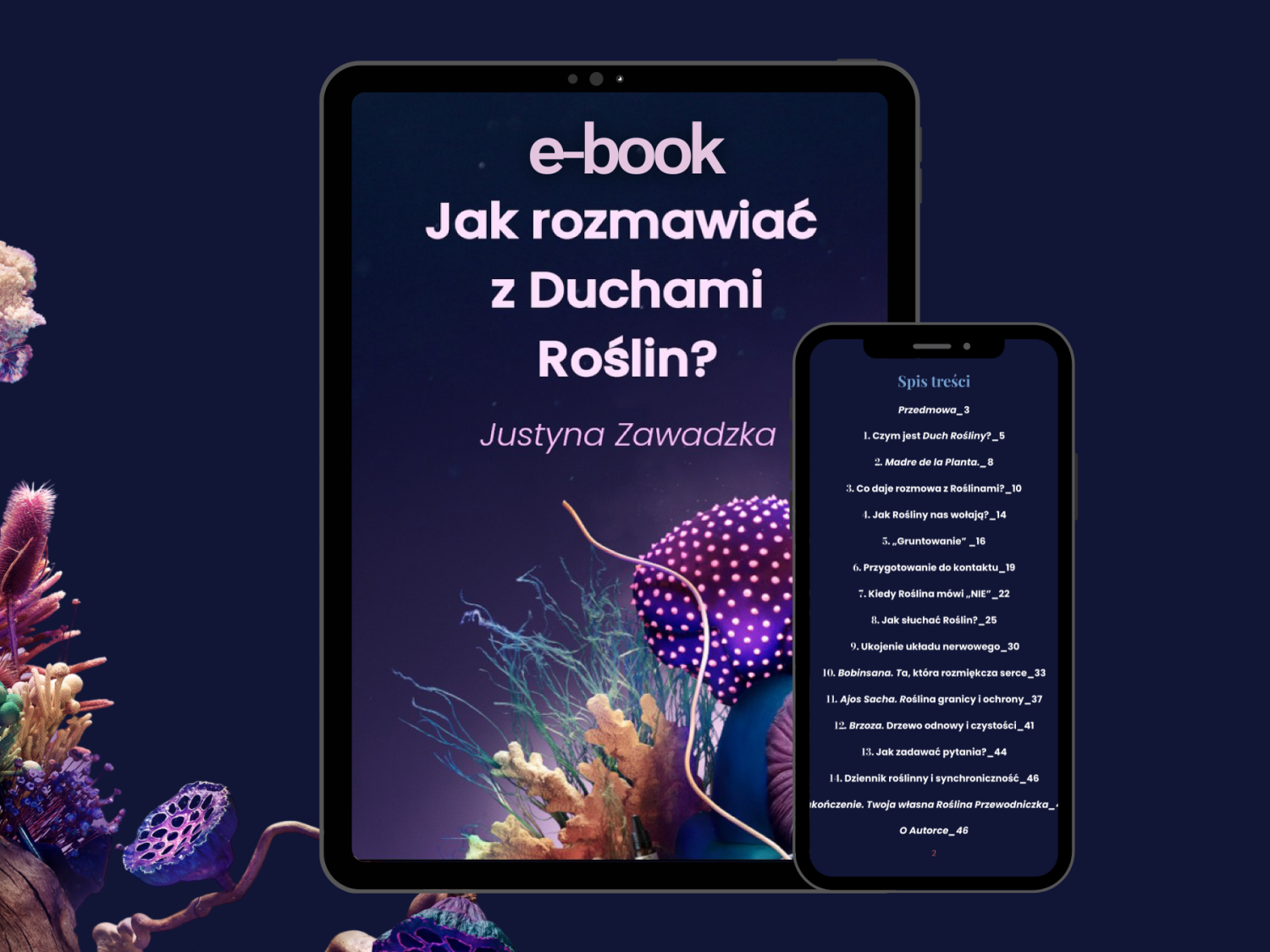 E-book “How to Talk with Plant Spirits”