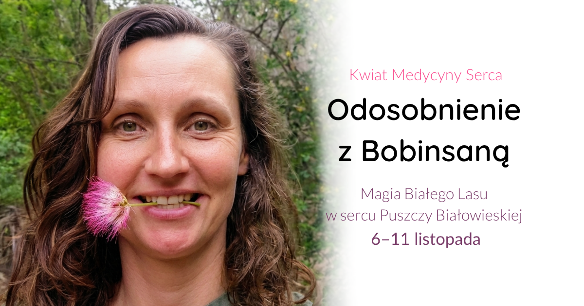 Odosobnienie z Bobinsaną, 6–11 listopada, Puszcza Białowieska