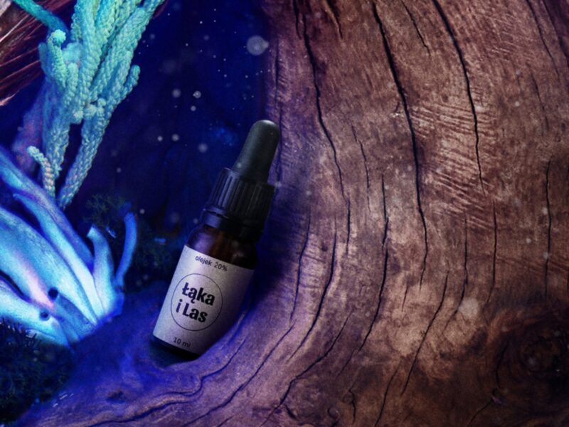 laka-i-las-olejek Olejek Łąka i Las